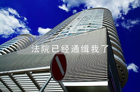 法院已经通缉我了 法院已经通缉我了
