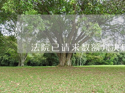 法院已请求数额判决后 法院已请求数额判决后