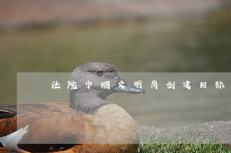 法院巾帼文明岗创建目标 法院巾帼文明岗创建目标