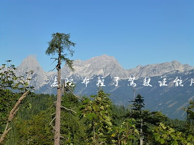 法院布控了驾驶证能用吗 法院布控了驾驶证能用吗
