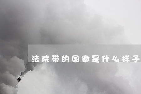 法院带的国徽是什么样子 法院带的国徽是什么样子