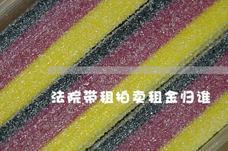 法院带租拍卖租金归谁 法院带租拍卖租金归谁