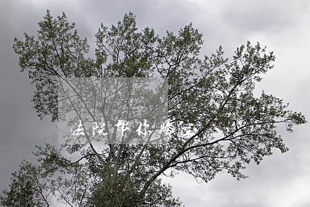 法院帮你腾空 法院帮你腾空