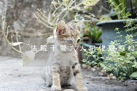 法院干警六大纪律对照检查材料 法院干警六大纪律对照检查材料