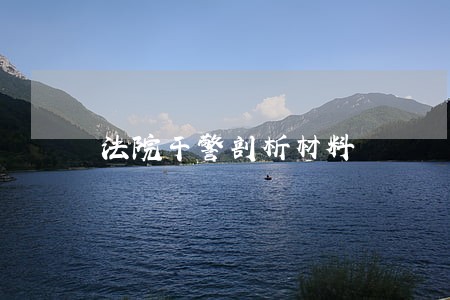 法院干警剖析材料 法院干警剖析材料