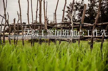 法院干警加班加点工作先进事迹 法院干警加班加点工作先进事迹