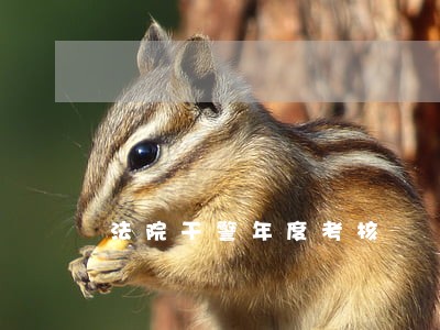 法院干警年度考核 法院干警年度考核