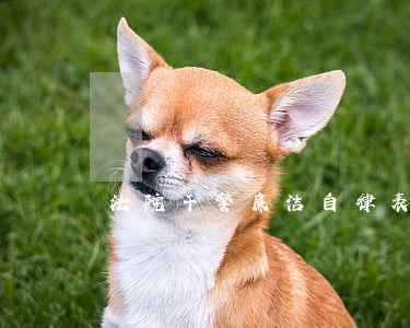 法院干警廉洁自律表述
