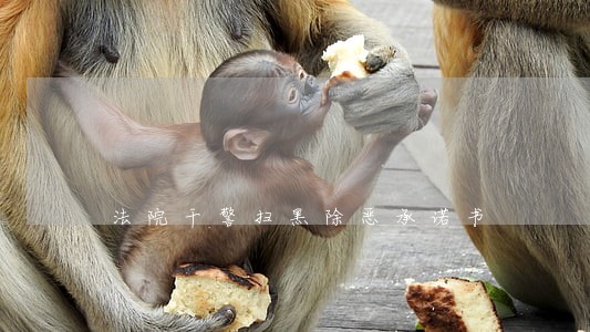 法院干警扫黑除恶承诺书