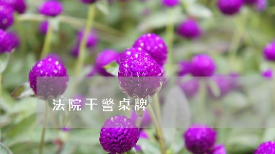 法院干警桌牌 法院干警桌牌