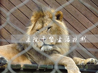 法院干警生活掠影 法院干警生活掠影