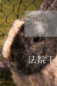 法院干警获全区优秀党员