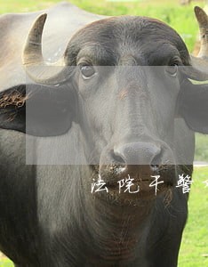法院干警观看廉政视频