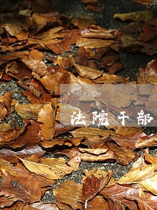 法院干部个人岗位目标 法院干部个人岗位目标