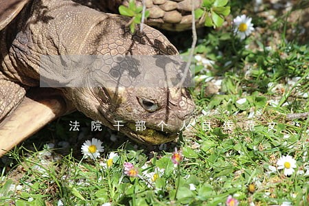 法院干部个人自传范文 法院干部个人自传范文