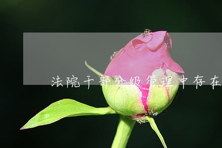 法院干部分级管理中存在的问题 法院干部分级管理中存在的问题