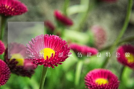 法院干部队伍建设特色做法 法院干部队伍建设特色做法