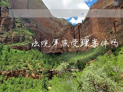 法院年底受理案件吗 法院年底受理案件吗