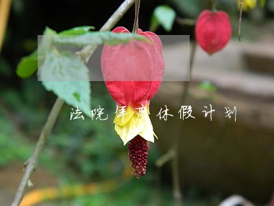 法院年度休假计划