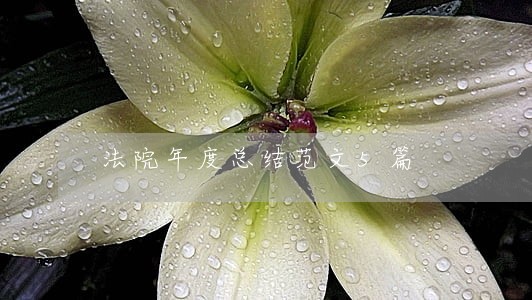 法院年度总结范文5篇