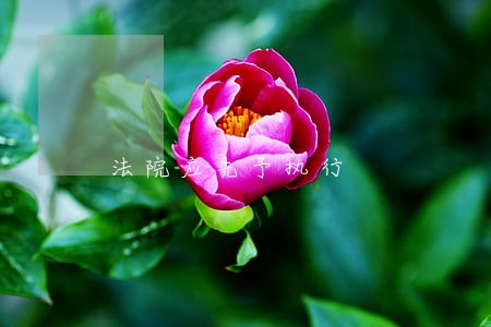法院应先予执行 法院应先予执行