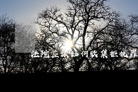 法院应该如何收集拒执罪报案材料 法院应该如何收集拒执罪报案材料