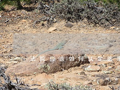 法院应该如何认定鉴定意见 法院应该如何认定鉴定意见