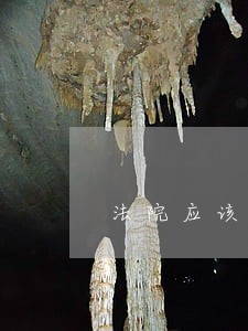 法院应该对认定巧进行审查吗 法院应该对认定巧进行审查吗