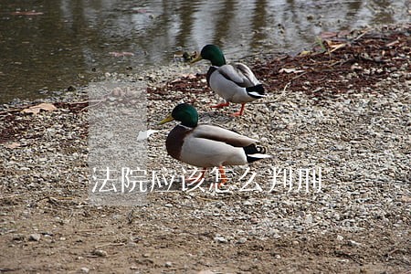 法院应该怎么判刑 法院应该怎么判刑