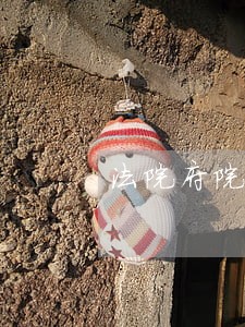 法院府院联动