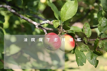 法院庭下怎样调解 法院庭下怎样调解