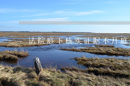 法院庭下核实证据不开庭质证合法 法院庭下核实证据不开庭质证合法
