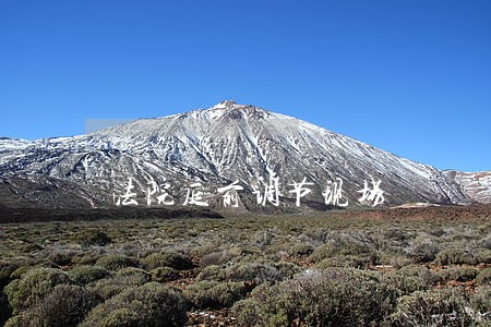 法院庭前调节现场 法院庭前调节现场