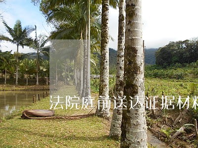 法院庭前送达证据材料 法院庭前送达证据材料