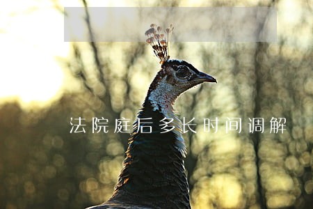 法院庭后多长时间调解 法院庭后多长时间调解