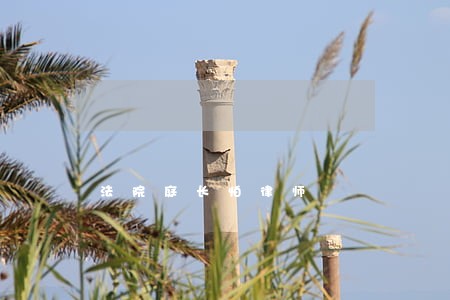 法院庭长怕律师