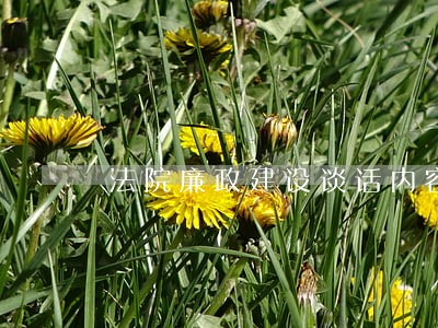 法院廉政建设谈话内容