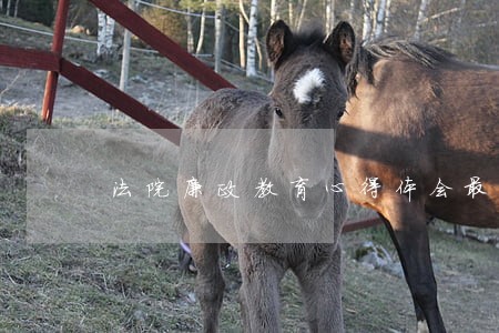 法院廉政教育心得体会最新 法院廉政教育心得体会最新