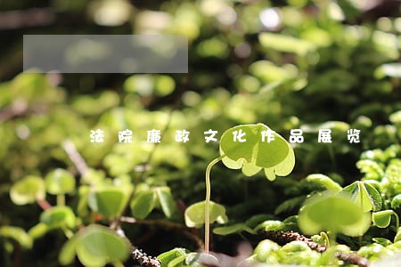 法院廉政文化作品展览 法院廉政文化作品展览