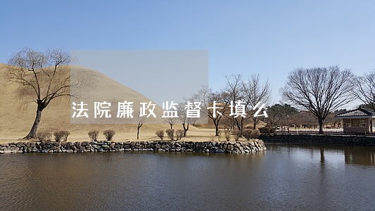 法院廉政监督卡填么