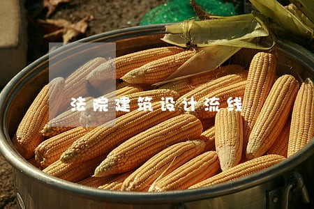 法院建筑设计流线 法院建筑设计流线