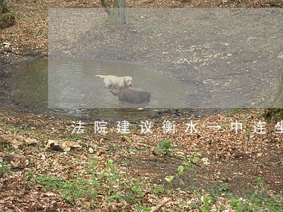 法院建议衡水一中连坐 法院建议衡水一中连坐