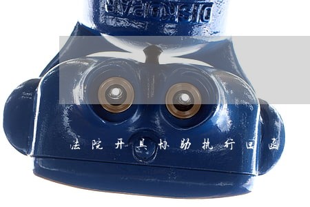 法院开具协助执行回函模板