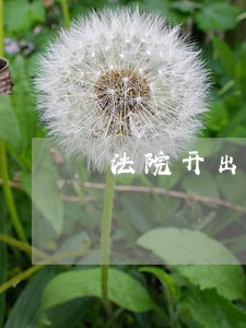 法院开出首份律师调查令