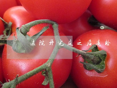 法院开完庭之后退检 法院开完庭之后退检