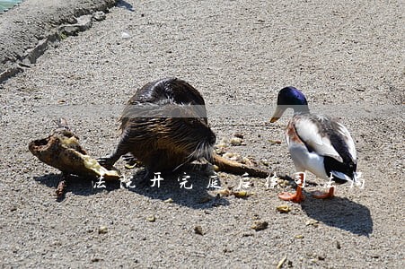 法院开完庭后续司法局 法院开完庭后续司法局