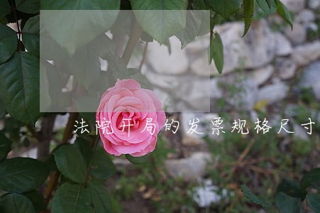 法院开局的发票规格尺寸是多少 法院开局的发票规格尺寸是多少