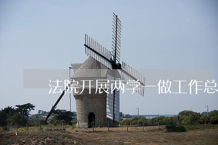 法院开展两学一做工作总结 法院开展两学一做工作总结