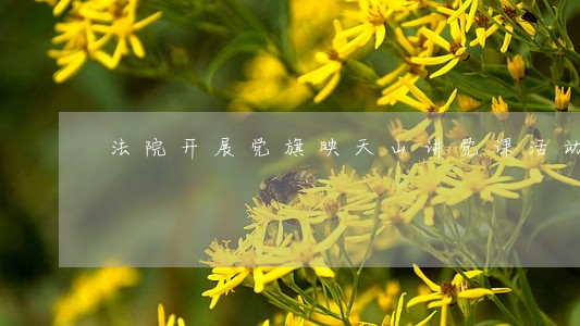 法院开展党旗映天山讲党课活动 法院开展党旗映天山讲党课活动