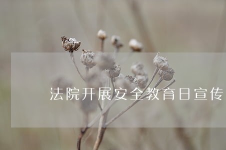 法院开展安全教育日宣传活 法院开展安全教育日宣传活